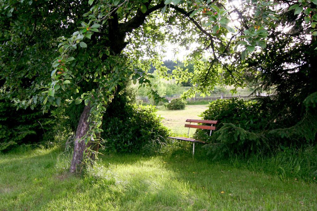 Penzion Muflon Bela nad Radbuzou Exterior foto